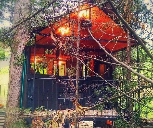Casa En El Arbol