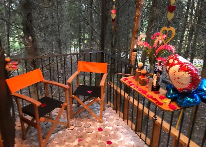 Casa En El Arbol