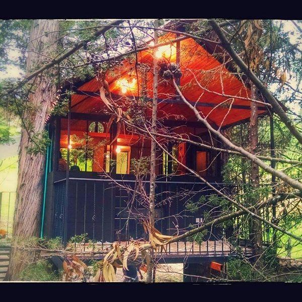 Casa En El Arbol Country house *