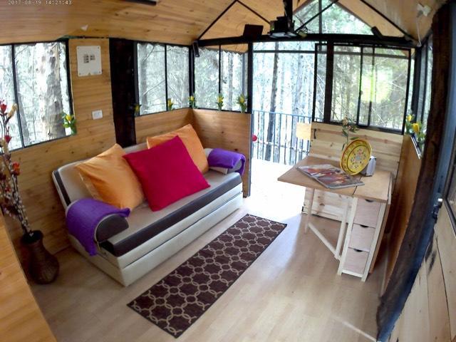 Casa En El Arbol