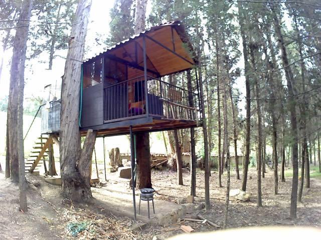 Casa En El Arbol