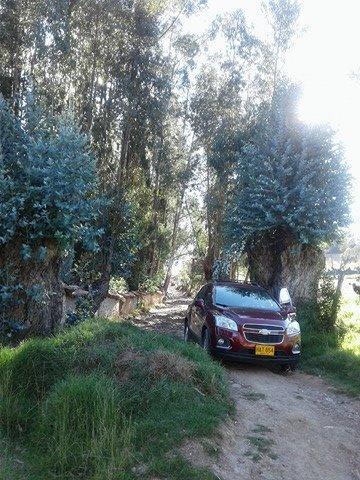 Country house Casa En El Arbol Pesca