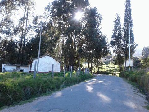 Casa En El Arbol *