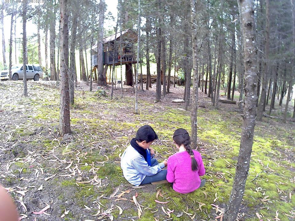 Casa En El Arbol * Pesca
