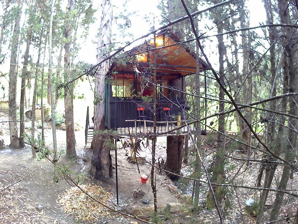 Casa En El Arbol