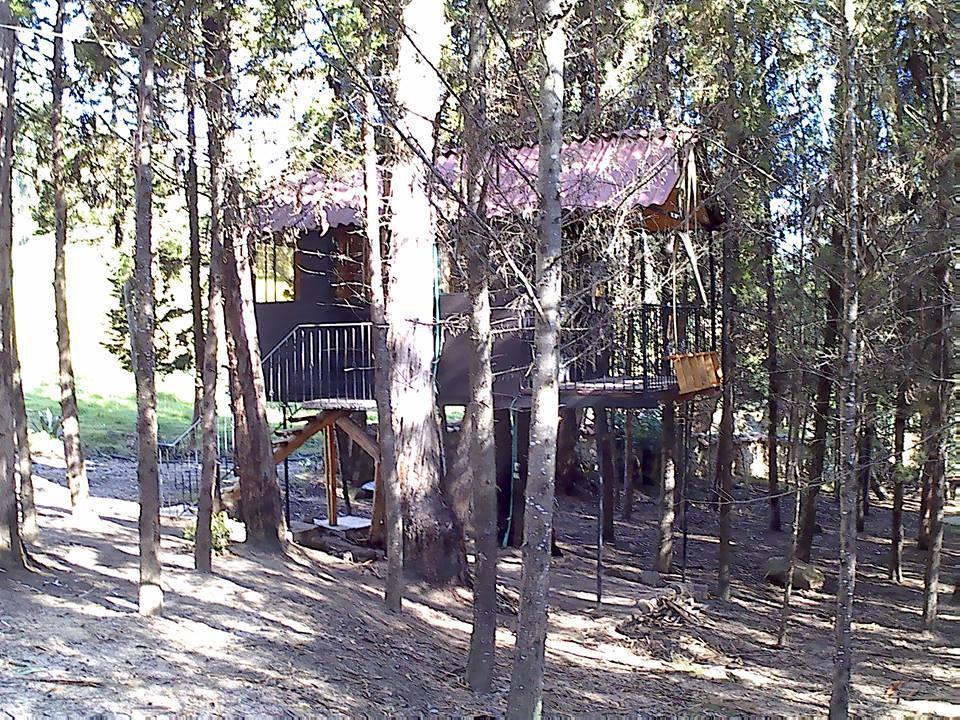 Casa En El Arbol Country house