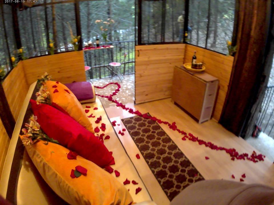 Casa En El Arbol Country house Pesca