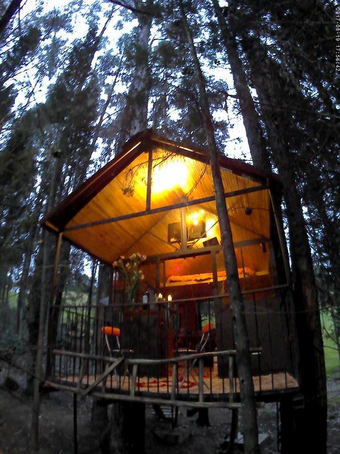 Casa En El Arbol Country house