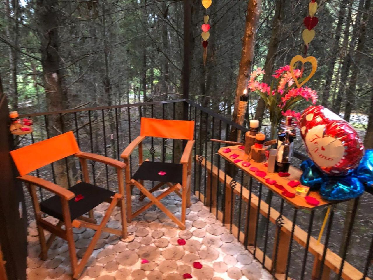 Casa En El Arbol Pesca
